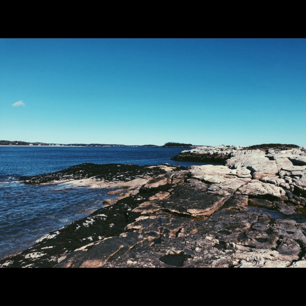 Meet your Posher, Chloë